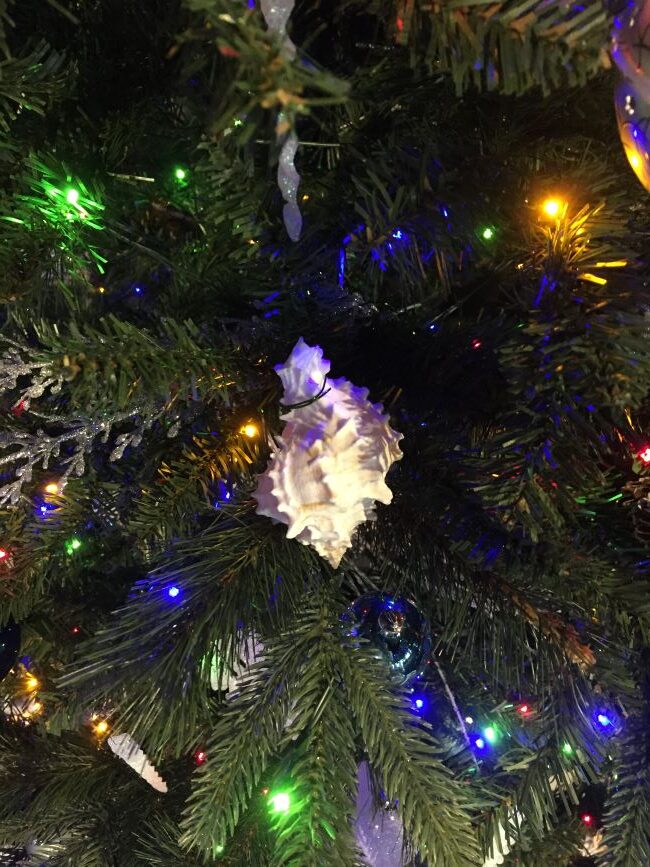 Brightly lit Christmas tree with a seashell ornament hanging on branch