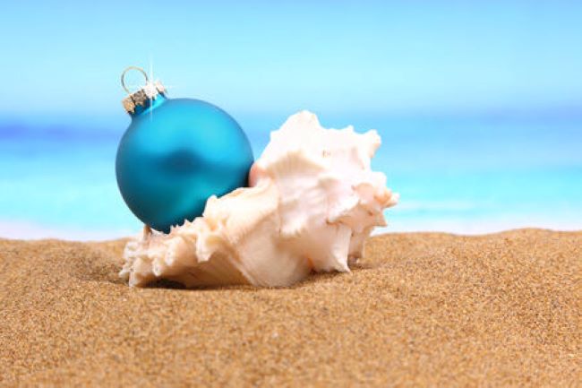 blue ornament sitting inside a shell
