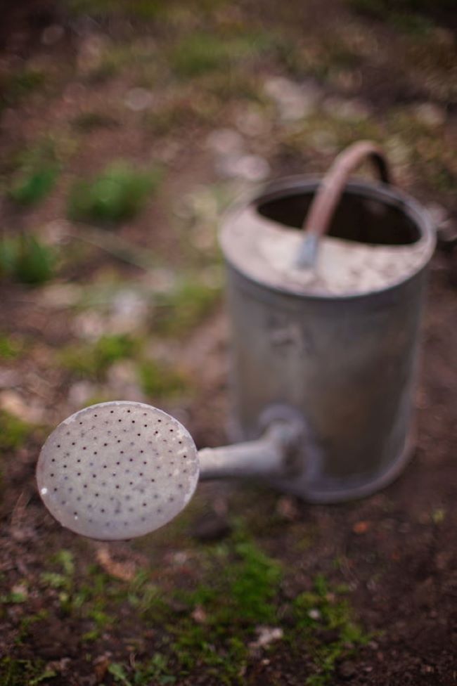 old metal watering can sitting on the ground