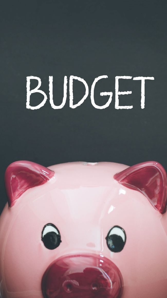pink ceramic piggy bank with the word "budget" written over head
