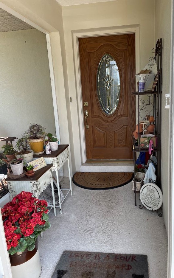 Narrow entryway with garden style decorations - before getting refreshed