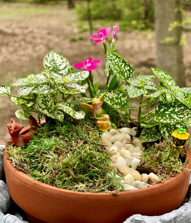 terra cotta pot planted with tiny plants accented with ceramic fairy