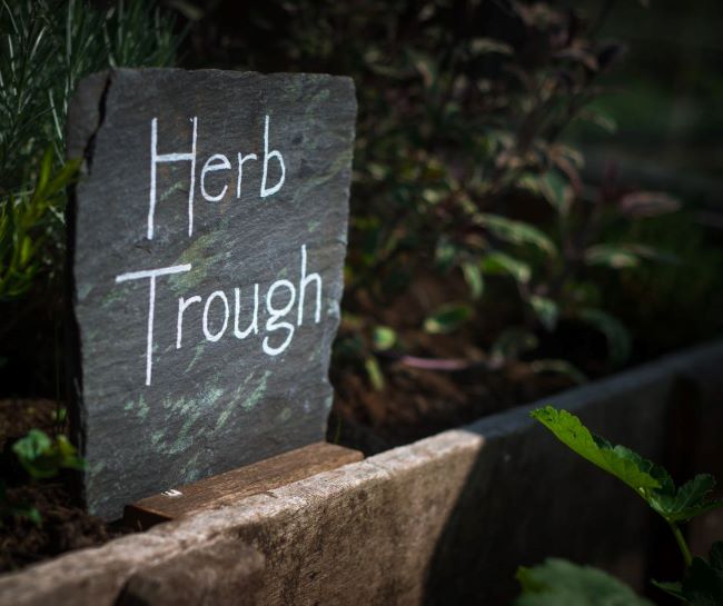piece of slate with Herb Trough written on it. Placed in an old wooden trough filled with herbs