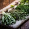 bundles of assorted herbs laying on a wood plank