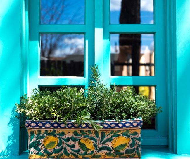 assorted herbs planted in a ceramic window box in front of a turquoise window
