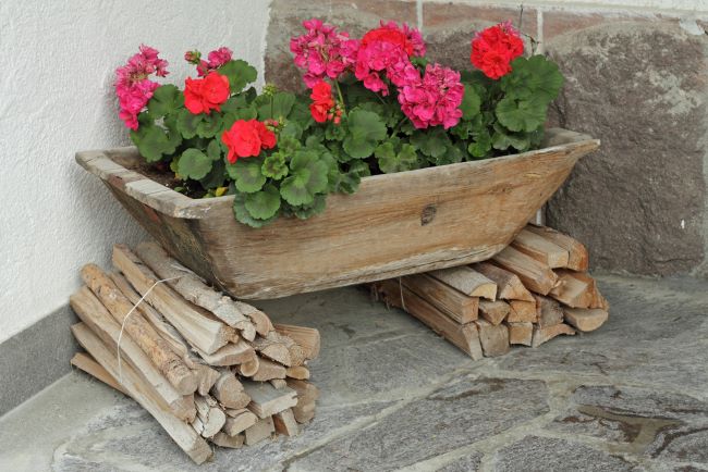 old wooden primitive looking trough filled with geraniums, propped up on stacks of wood