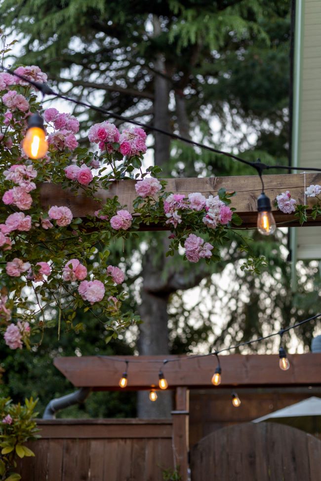 wooden pergola accented with hanging lights