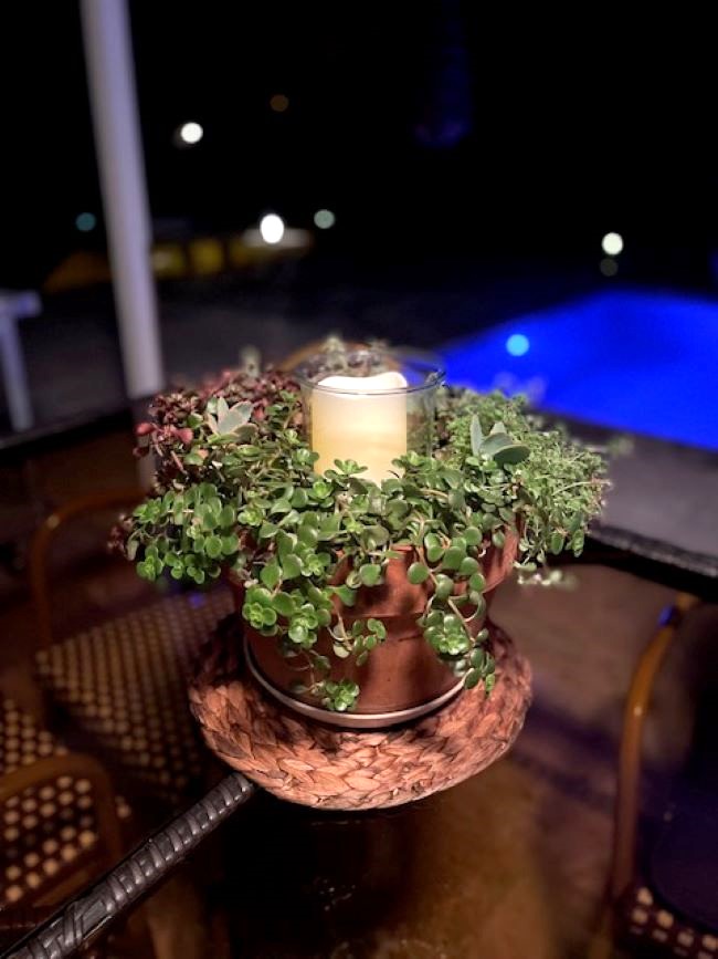 Simple Summer Succulent centerpiece with pool in the background, early evening