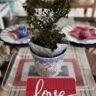 angel vine topiary displayed in a blue & white ceramic pot