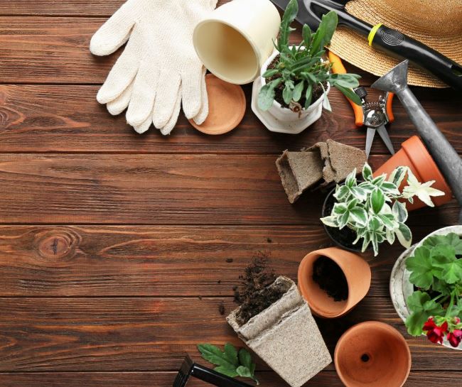 garden tools, small pots, plants and garden gloves gathered on a wooden table
