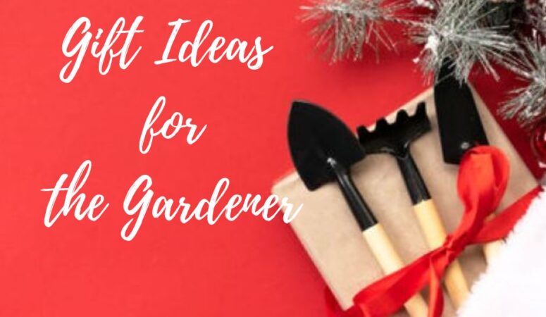 Unique Gift Ideas for the Gardener