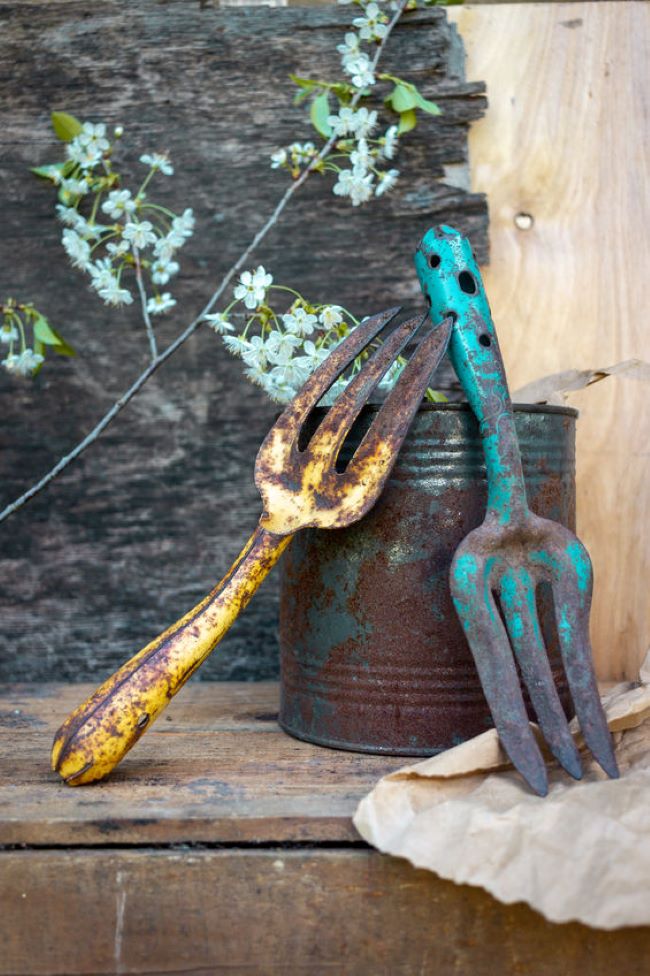 a pair of rusty old garden forks propped on a metal can