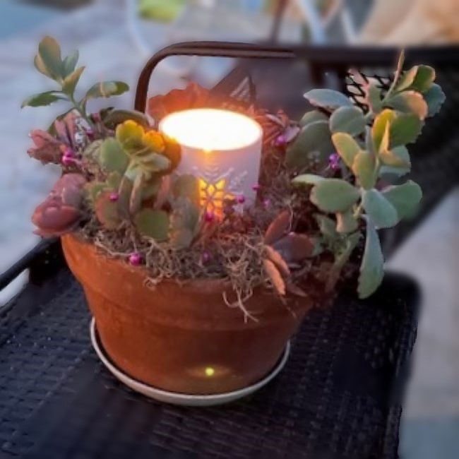 evening view of snowflake succulent holiday centerpiece