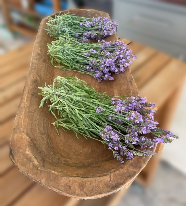 a trio of lavender bundles laying in a wooden dough bowl