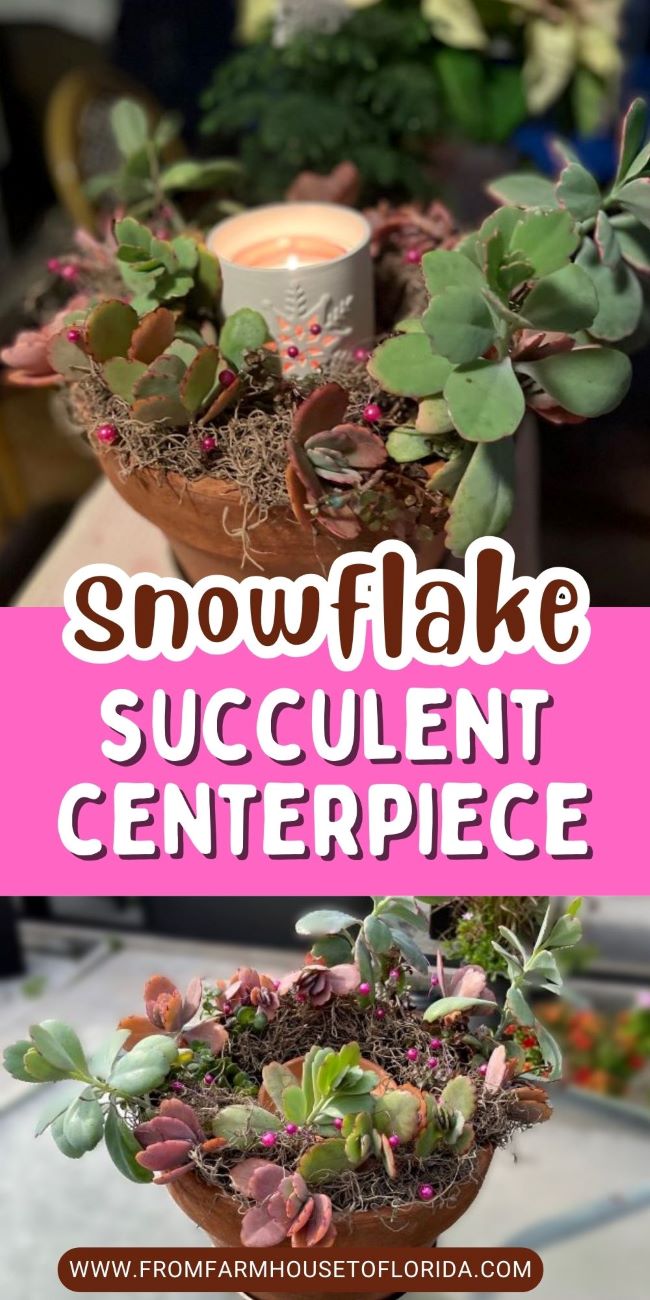 2 photo collage of succulent centerpiece with a snowflake votive holder