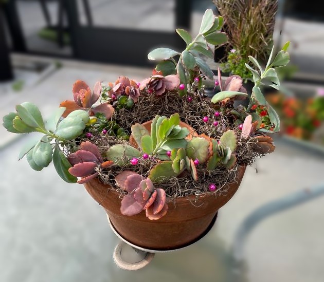 succulent centerpiece with hot pink beaded wire - in process