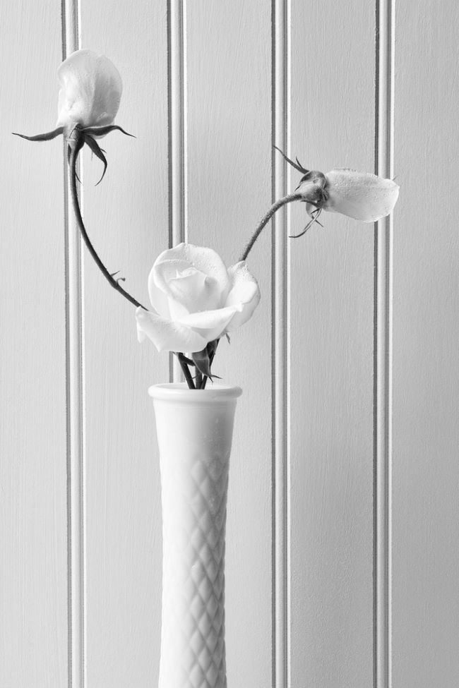 white roses in milk glass vase