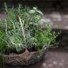 “Wicker basket filled with fresh herbs such as basil, mint, sage, and rosemary, styled on a light surface for a rustic and portable herb garden look