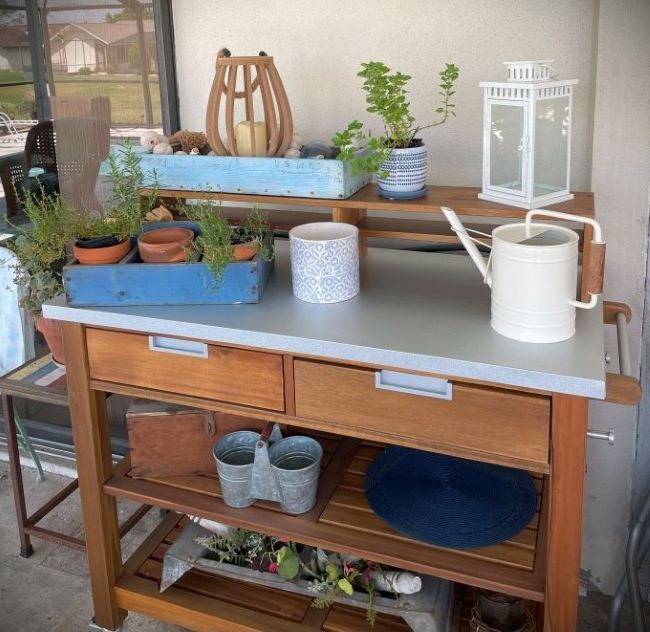 Potting table with Early Spring display