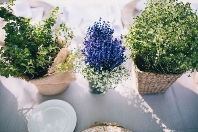 lavender flowers with baby's breath displayed in glass vase