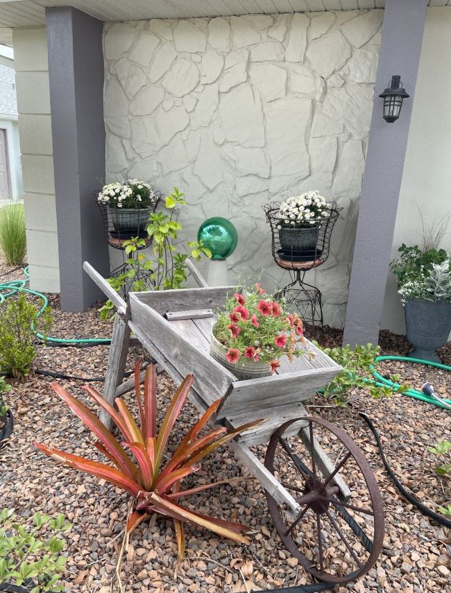 old wooden wheelbarrow with pot of petunias