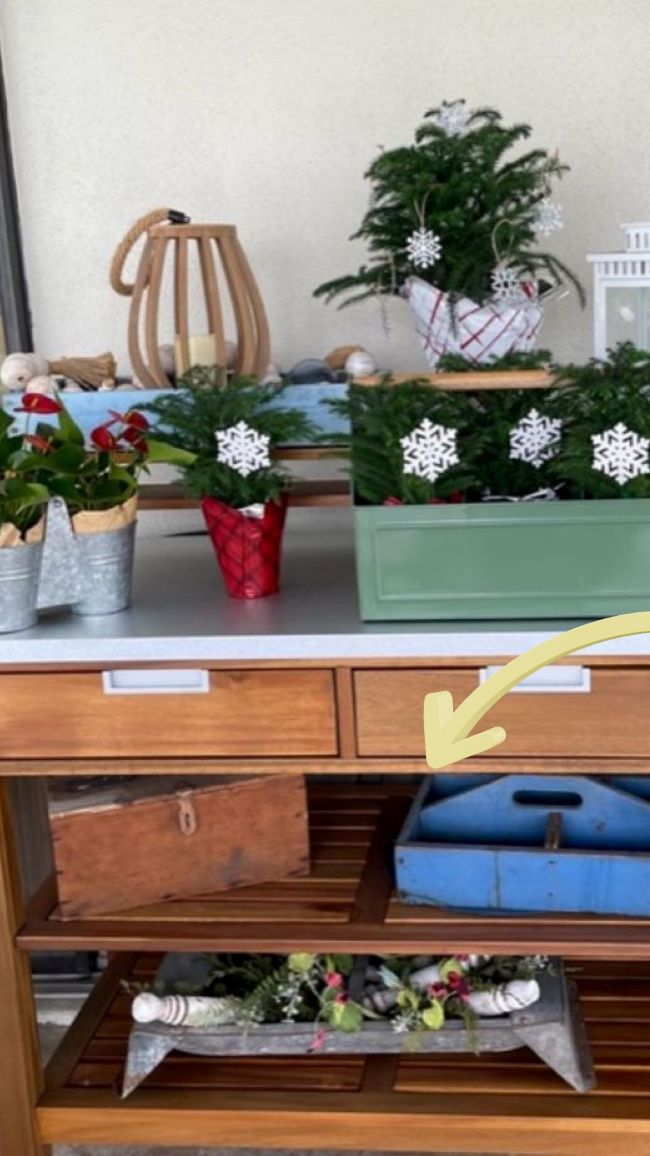 winter potting bench display, arrow pointed to old blue carrier on shelf
