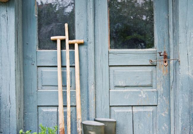 Spring Home Refresh Guide