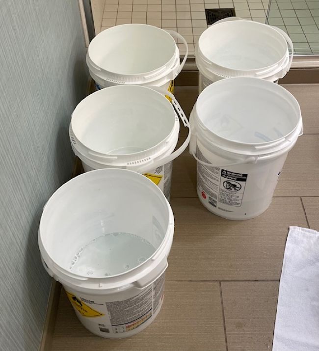 large containers filled with water for processing flowers