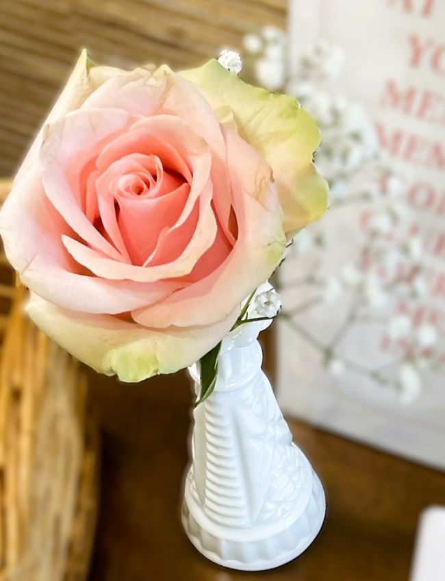single pink rose with baby's breath in milk glass vase