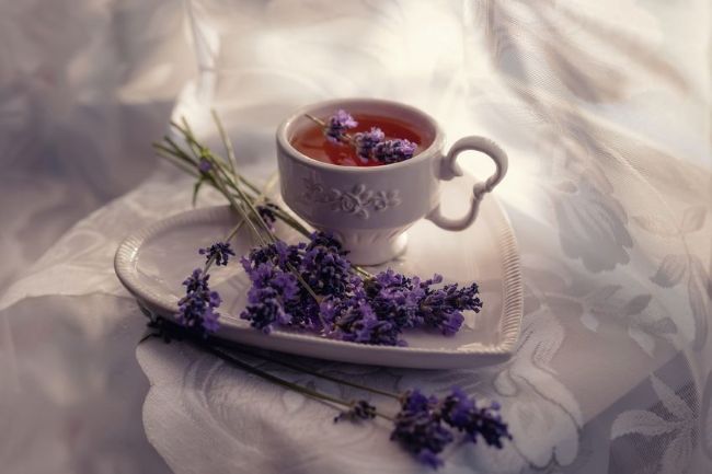 white tea cup filled with tea, accented with lavender flowers sitting on a heart shaped plate